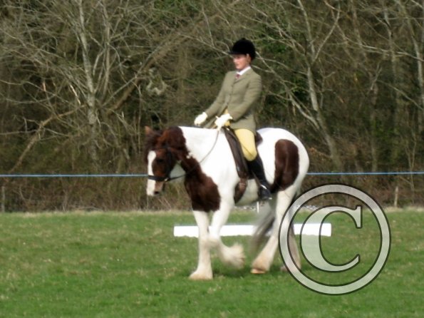 Lance dressage (7)