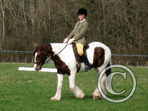 Lance dressage (8)