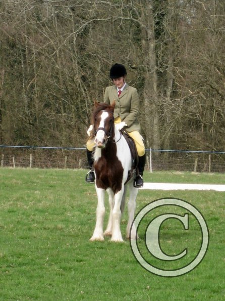 Lance dressage