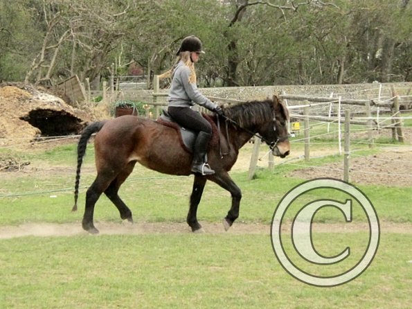 Felicity on Pepsi (3)