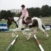 Libby on Lancelot (6)