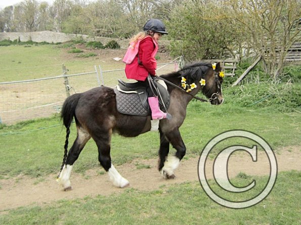 Trinity on Monty (2)