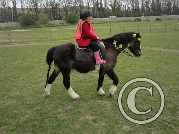 Trinity on Monty (3)