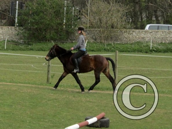 In hand obstacle race (12)