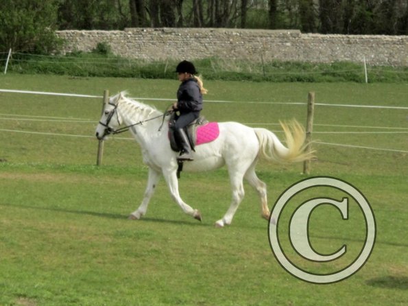 In hand obstacle race (15)