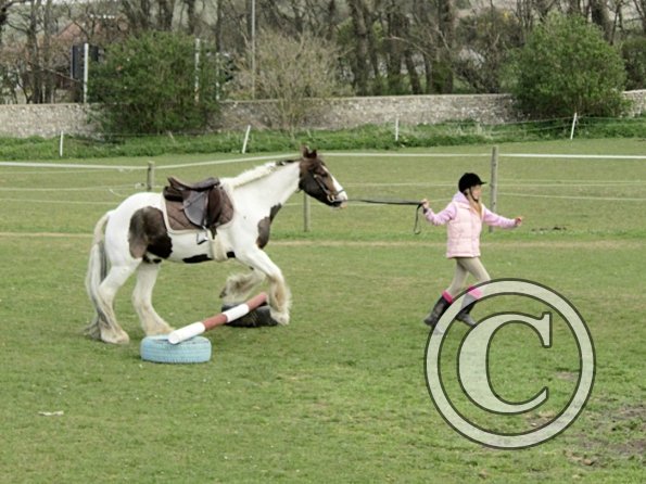 In hand obstacle race (19)