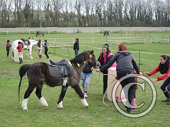 In hand obstacle race (20)