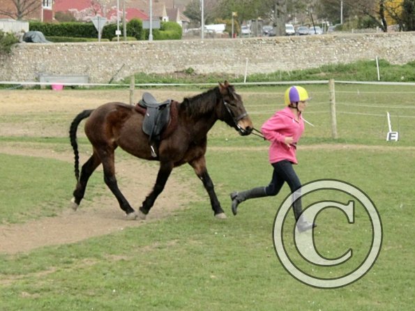 In hand obstacle race (9)