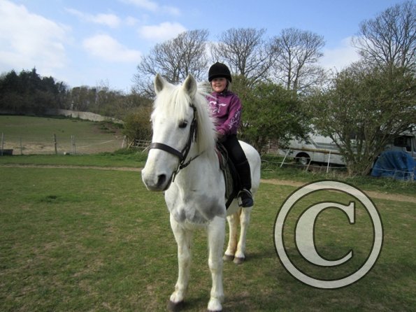 Individual show (10)