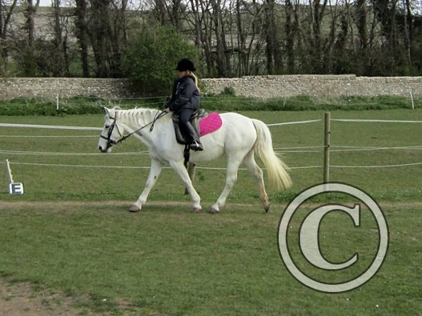 Individual show (11)