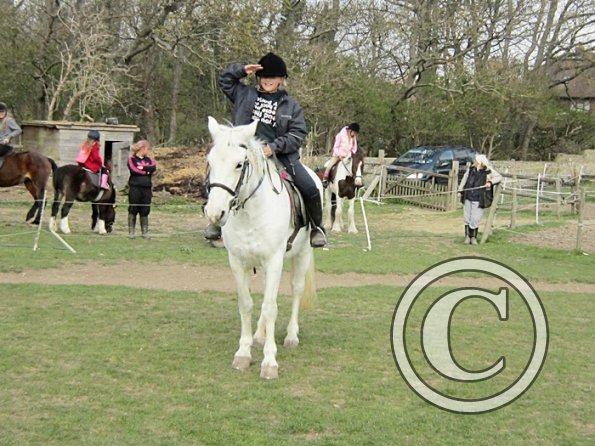 Individual show (12)