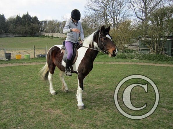 Individual show (13)