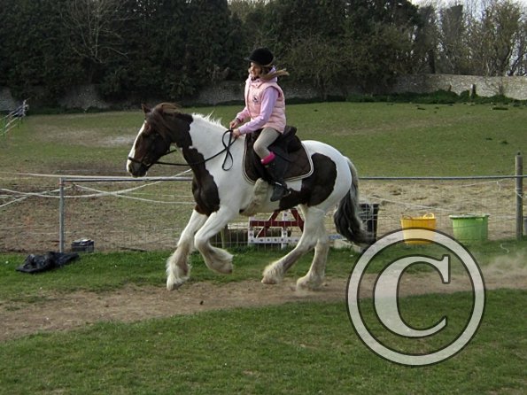 Individual show (14)