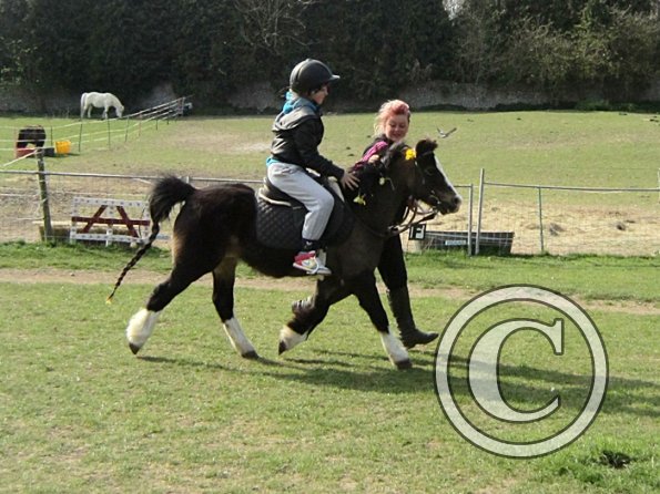 Individual show (19)