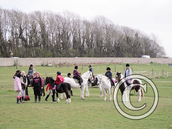 Trot away walk back race (12)