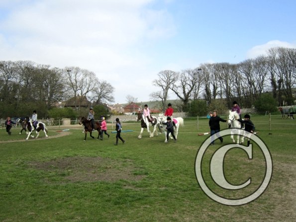 Trot away walk back race (3)