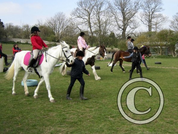 Trot away walk back race (5)