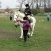 Trot away walk back race (6)
