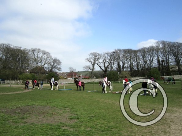 Trot away walk back race