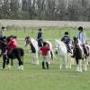 Pony Day Easter 2012