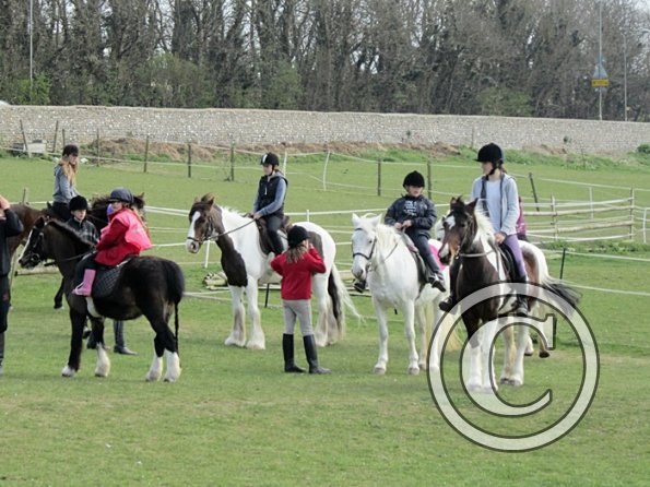 Trot away walk back race (13)