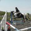 Leanne and JD jumping (5)