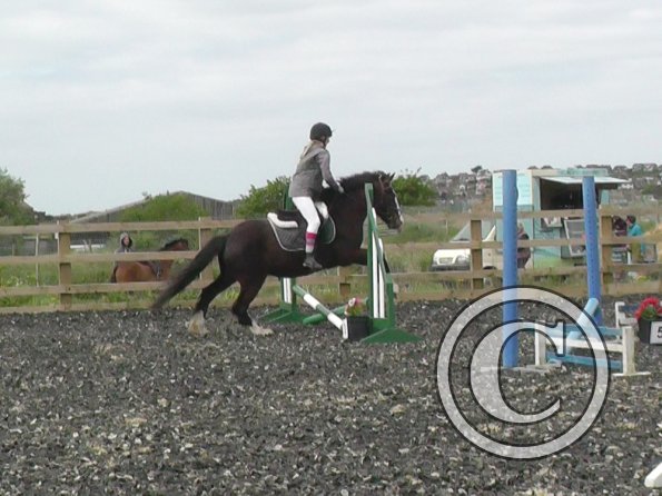 Lily and Teddy jumping (1)