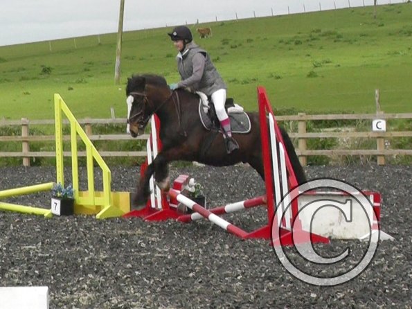 Lily and Teddy jumping (2)