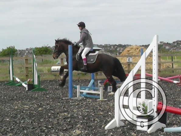 Lily and Teddy jumping (3)