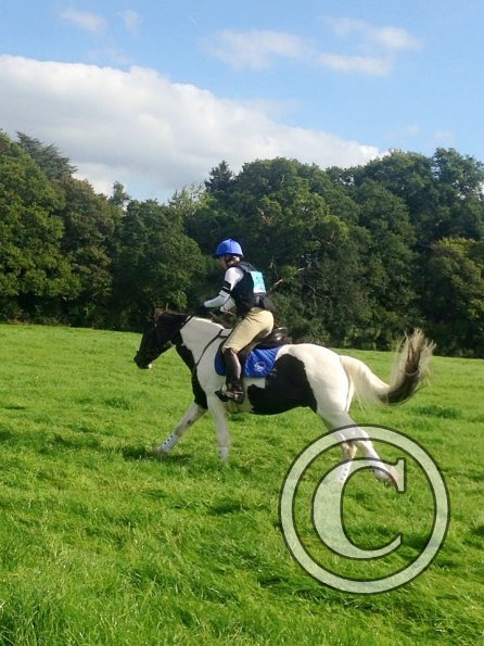 12038375_10153554172494536_3419573276288755166_n