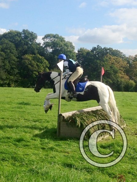 12042637_10153554172449536_3622429570976730450_n