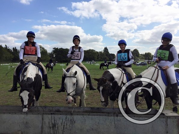 12063566_857792667623313_3828080384008866855_n