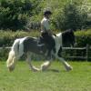 Mark & Sula Ridden (2)