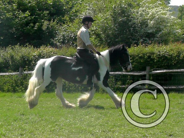 Mark & Sula Ridden (2)