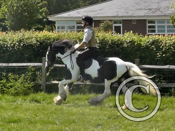 Mark & Sula Ridden (7)