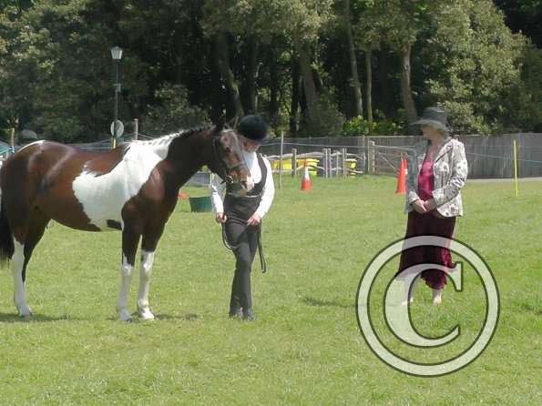 Mia Coloured Showing (6)