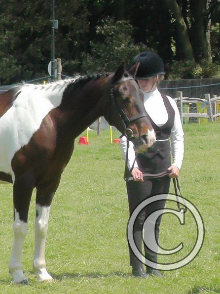 Mia Coloured Showing (7)