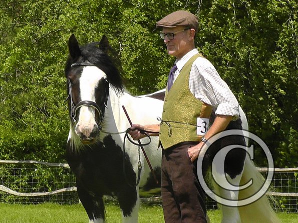 Sula Coloured Showing (14)