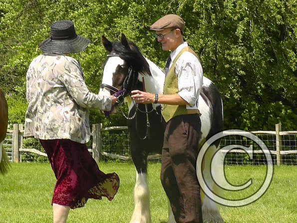 Sula Coloured Showing (15)