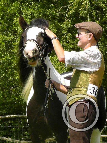 Sula Coloured Showing (17)