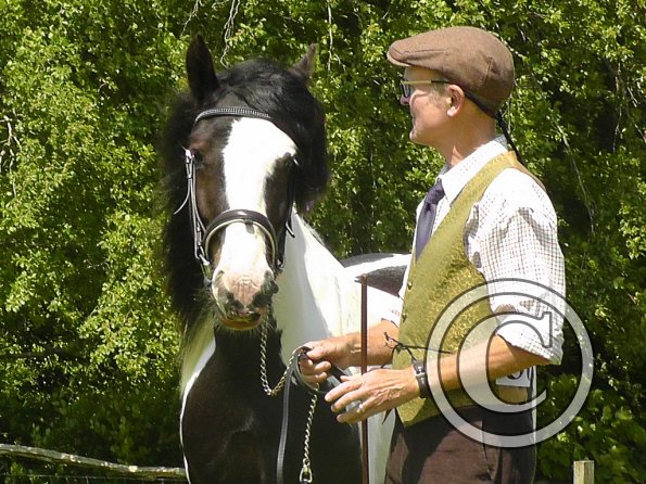 Sula Coloured Showing (18)