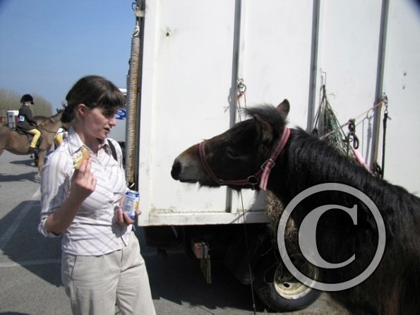 Adorable Appley (10)