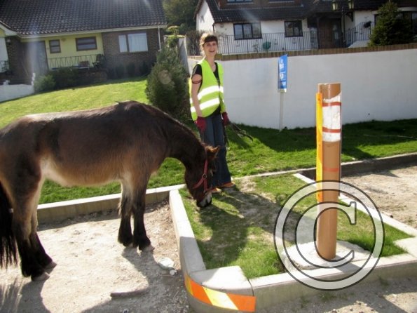 Appley amazing cross country pony