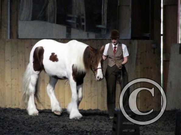 Lance and Anna in hand (3)