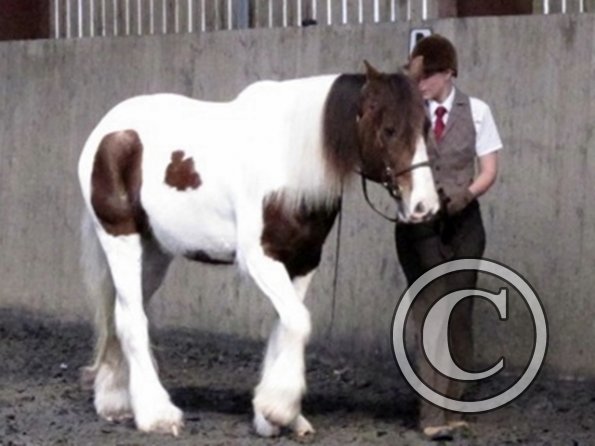 Lance and Anna in hand