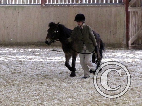 Mountain and Moorland (10)