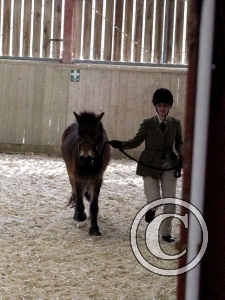 Mountain and Moorland (2)