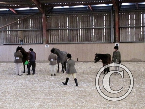 Mountain and Moorland (3)