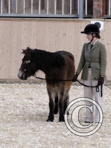 Mountain and Moorland (4)