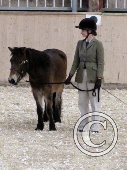 Mountain and Moorland (5)